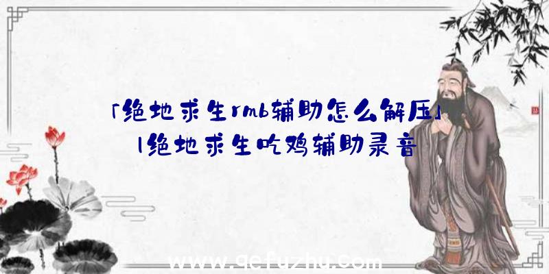 「绝地求生rmb辅助怎么解压」|绝地求生吃鸡辅助录音